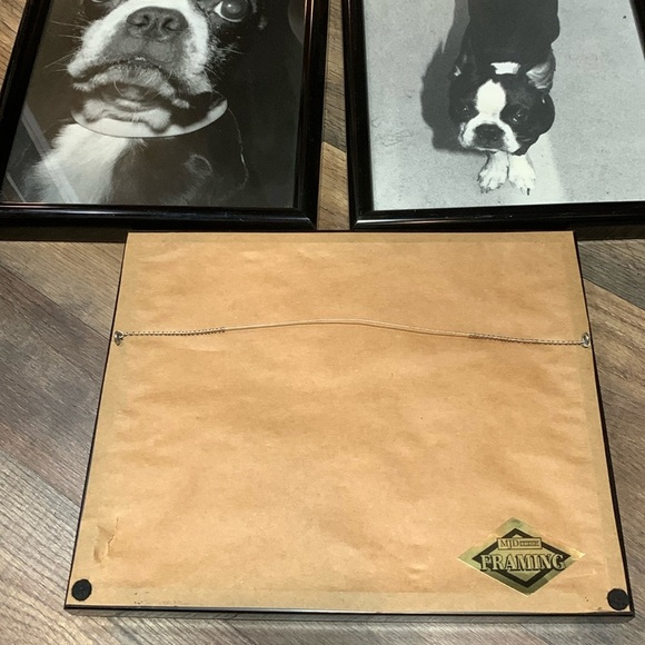 Set of 3 Professionally Framed Boston Terrier Gallery Wall Prints Vintage Photos - Picture 6 of 17